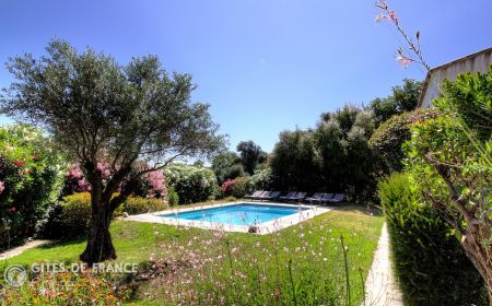 Gîte à Montegrosso, Balagne, Haute-Corse, labellisé Gîtes de France : le jardin et la piscine Gite n°60501 Montegrosso - Corse - Gîte à Montegrosso, Balagne, Haute-Corse, labellisé Gîtes de France : le jardin et la piscine