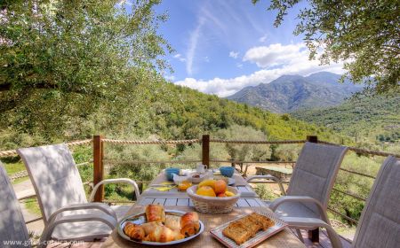 Bed & Breakfast no.61541 Manso - Corse - Maison d'h&ocirc;tes &agrave; Manso, Balagne, Haute-Corse, labellis&eacute;e G&icirc;tes de France : le petit d&eacute;jeuner